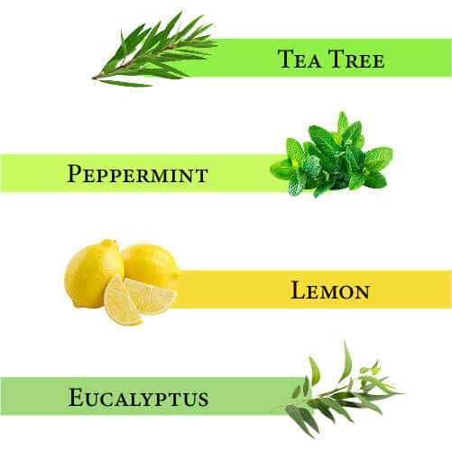 Breathe Essential Oil Blend
